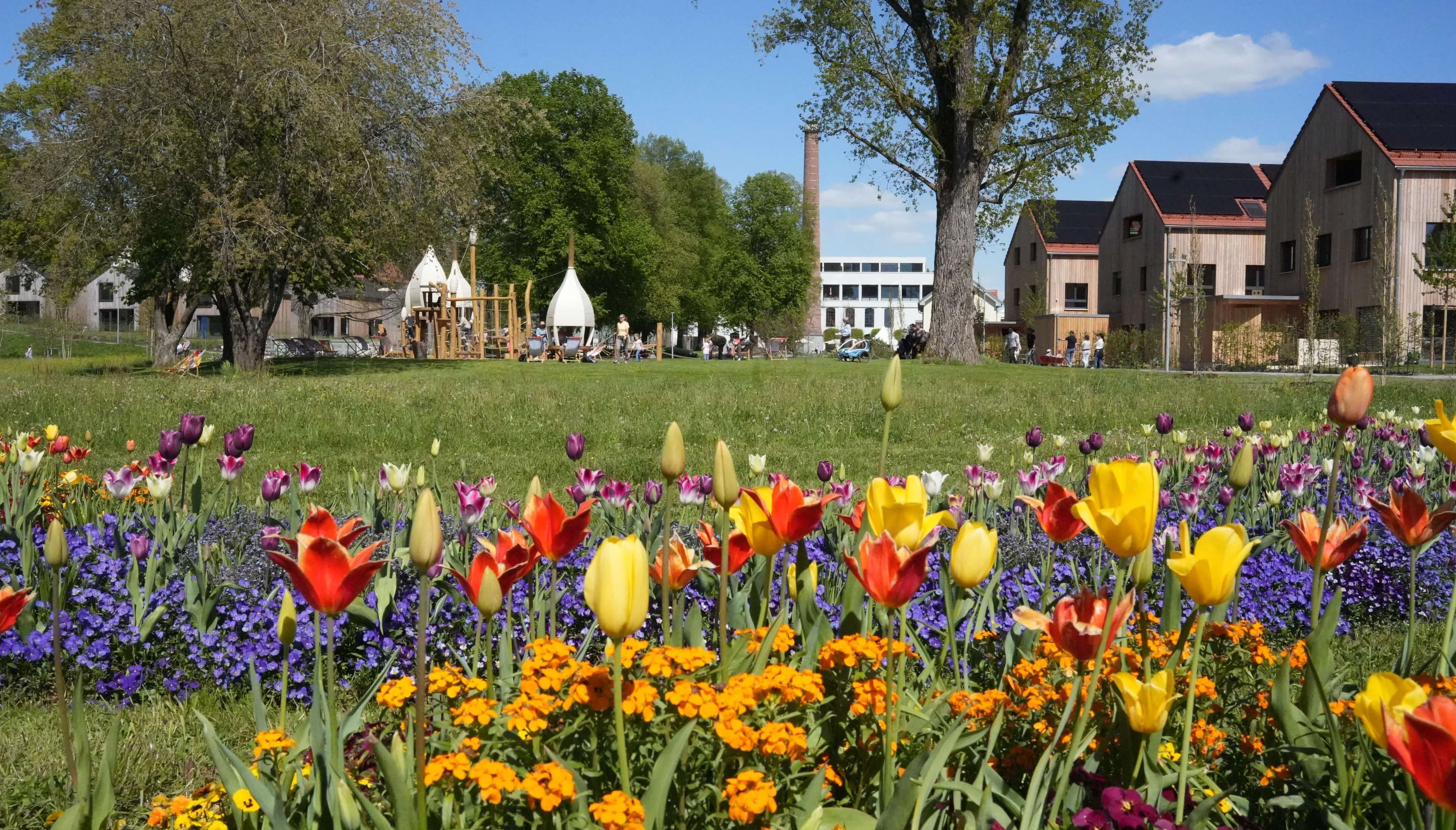 Tag der Schöpfung am 6. September